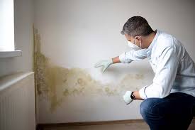 Best Air Quality Testing for Mold Spores  in Claude, TX